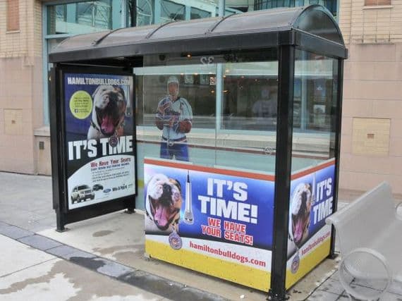 Quảng cáo của trạm chờ xe bus Hockey Hamilton Bulldogs