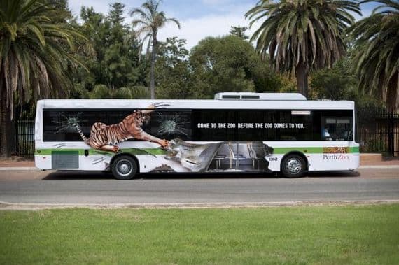 Quảng cáo sở thú trên xe bus